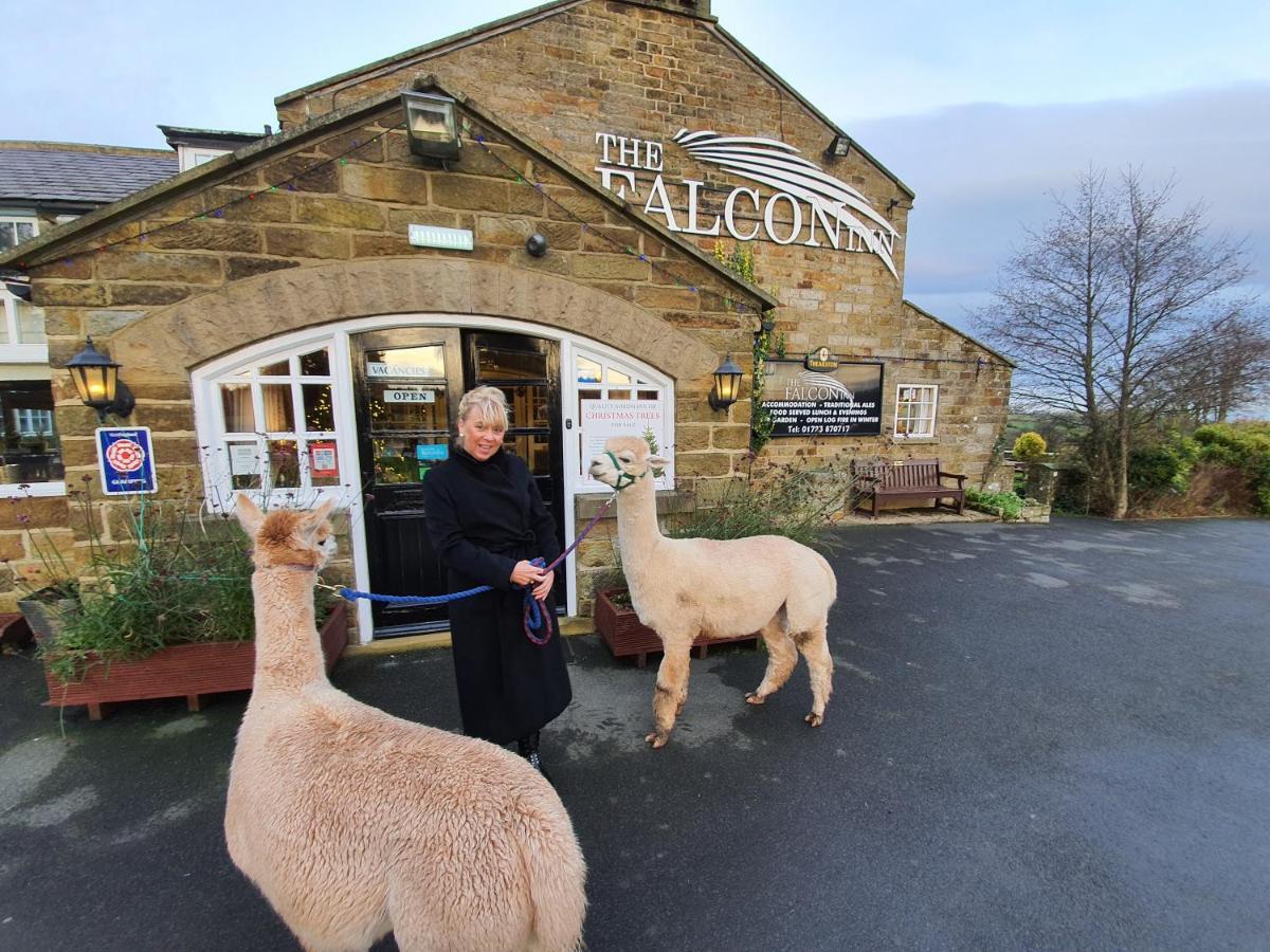 HOTEL THE FALCON INN RAVENSCAR 3 United Kingdom from 122